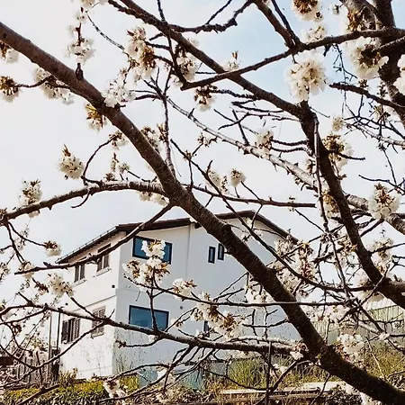 Casa Peidaigo Immersa Nel Verde,vista Mare E Monti Appartamento